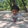 张合树头像