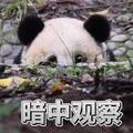 镜中永远是此刻头像