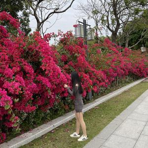 温柔小香香头像