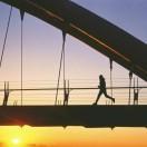 花开会有时的个人资料头像