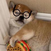 Rir的个人资料头像