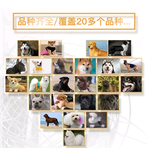 佛山狗场萌宠基地犬舍头像