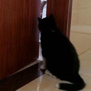 Anne548的个人资料头像