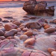 梦归游子意的个人资料头像