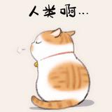 喵了个喵喵喵516头像