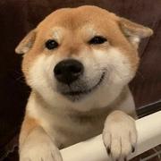 2ooo的个人资料头像
