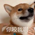 搞笑的逗嘴时刻头像
