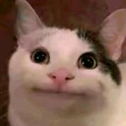 不吃香菜XXX的个人资料头像