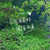 正能量河流IGw头像