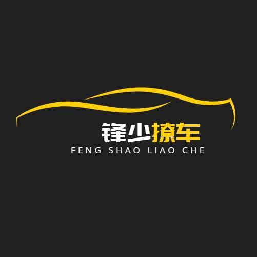 锋少撩车头像