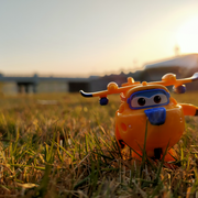 子涧er的个人资料头像