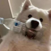 禁默的个人资料头像