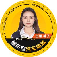 懂懂新车雷子头像