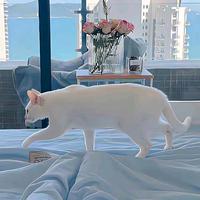 小生不才开红旗头像