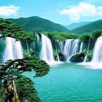 平阳黄牛排头像