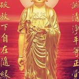 活着真好老营长头像