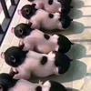 用户6552304640805头像