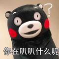 叫我红领巾就好了啊头像