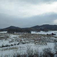 福到财到88888头像