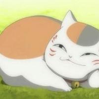 关爱野生保护动物头像
