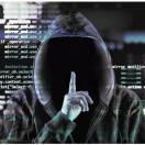 albert的个人资料头像