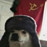 一直在蜕变的小青年头像