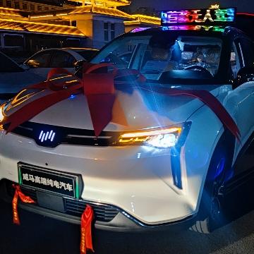 威马汽车枣庄威智4S店头像