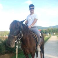 心不动.则不痛头像