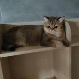 用户8183321266131头像