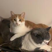 Longder的个人资料头像