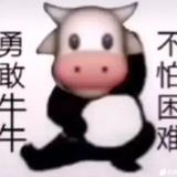 嘉亨小鑫头像