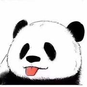 duan592的个人资料头像