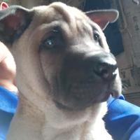 用户6790445454546头像