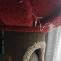 天降好运123456头像