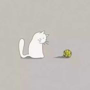 用户6281436689033的个人资料头像