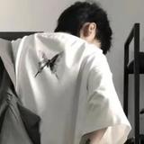 爱生活的轮船PCo头像