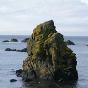 石头888的个人资料头像