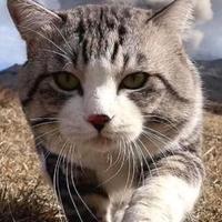 用户7474831643957头像