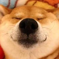 用户7327976332270头像