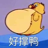 Don淼头像