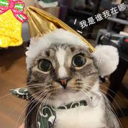 巨秃少女的个人资料头像