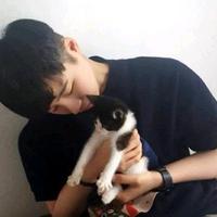 小焕很努力头像