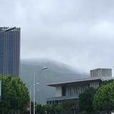 九月十五817头像