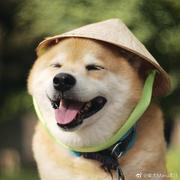 cringe的个人资料头像