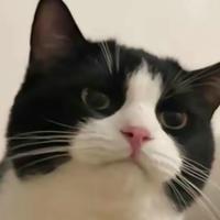 无敌康师傅冰糖雪梨大王头像