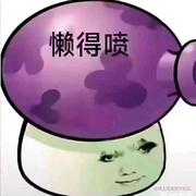 夏色風的个人资料头像