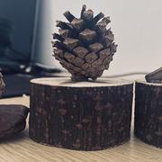 路明泽的神秘代码的个人资料头像