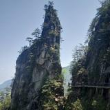 奋战451头像