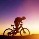 lpchou的个人资料头像