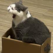 用户6071950924309的个人资料头像